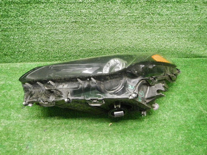 DSCN5965.JPG