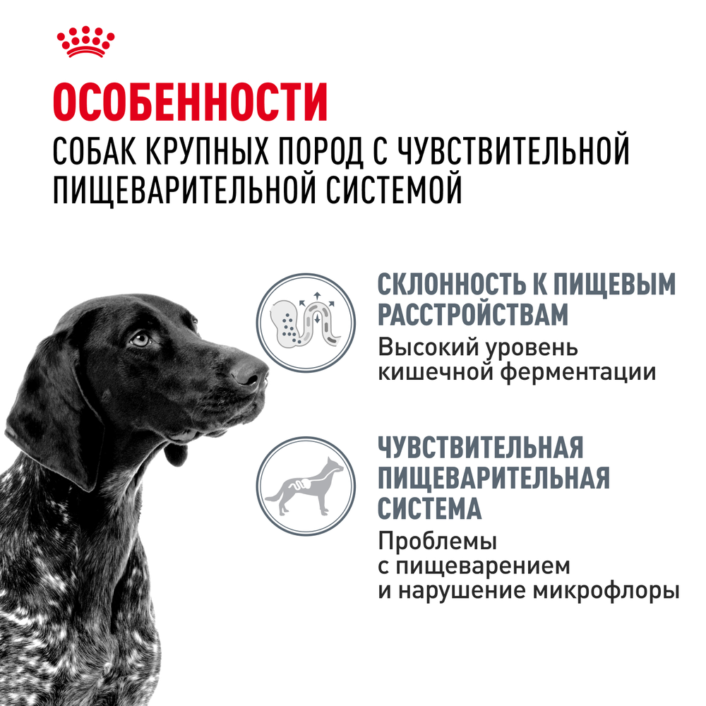 Royal Canin Maxi Digestive Care Макси Дайджестив кэа Корм сухой для взрослых собак больших размеров с чувствительным пищеварением 3кг