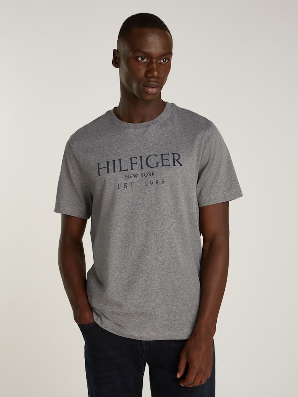 Футболка мужская TOMMY HILFIGER BIG HILFIGER TEE