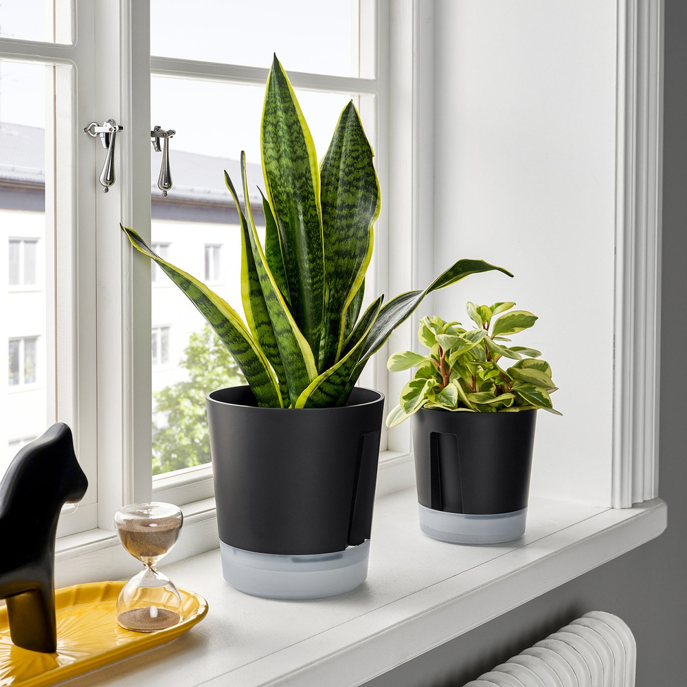 IKEA VÅRDTRÄD  (ИКЕА ВОРДТРЭД)  -  Кашпо с автополивом - для дома/улицы прозрачный/антрацит 15 см