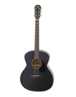 ARIA ARIA-101 Matte Black