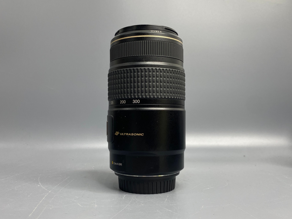 Canon EF 75-300mm 4-5.6 IS