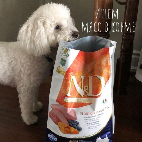 Ищем мясо в корме