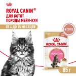 Royal Canin Maine Coon Kitten Мейн Кун Киттен Корм влажный для котят породы Мэйн Кун в возрасте до 15 месяцев соус 85г