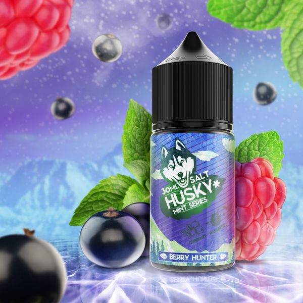 Купить Жидкость солевая для пода Husky Mint Series Salt - Berry Hunter 30 мл