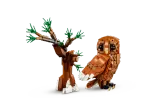 Конструктор LEGO Creator 3in1 31154 Лесные животные: Рыжая лисица