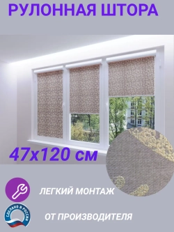 Рулонные шторы жалюзи 47х120 см