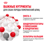 Royal Canin Pomeranian Adult Померанский Эдалт Корм сухой для взрослых собак породы Померанский Шпиц старше 8 месяцев 500г