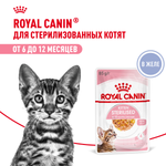 Royal Canin Kitten Sterilised Киттен Стерилайзд Корм влажный для кастрированных и стерилизованных котят в возрасте от 6 до 12 месяцев желе 85г