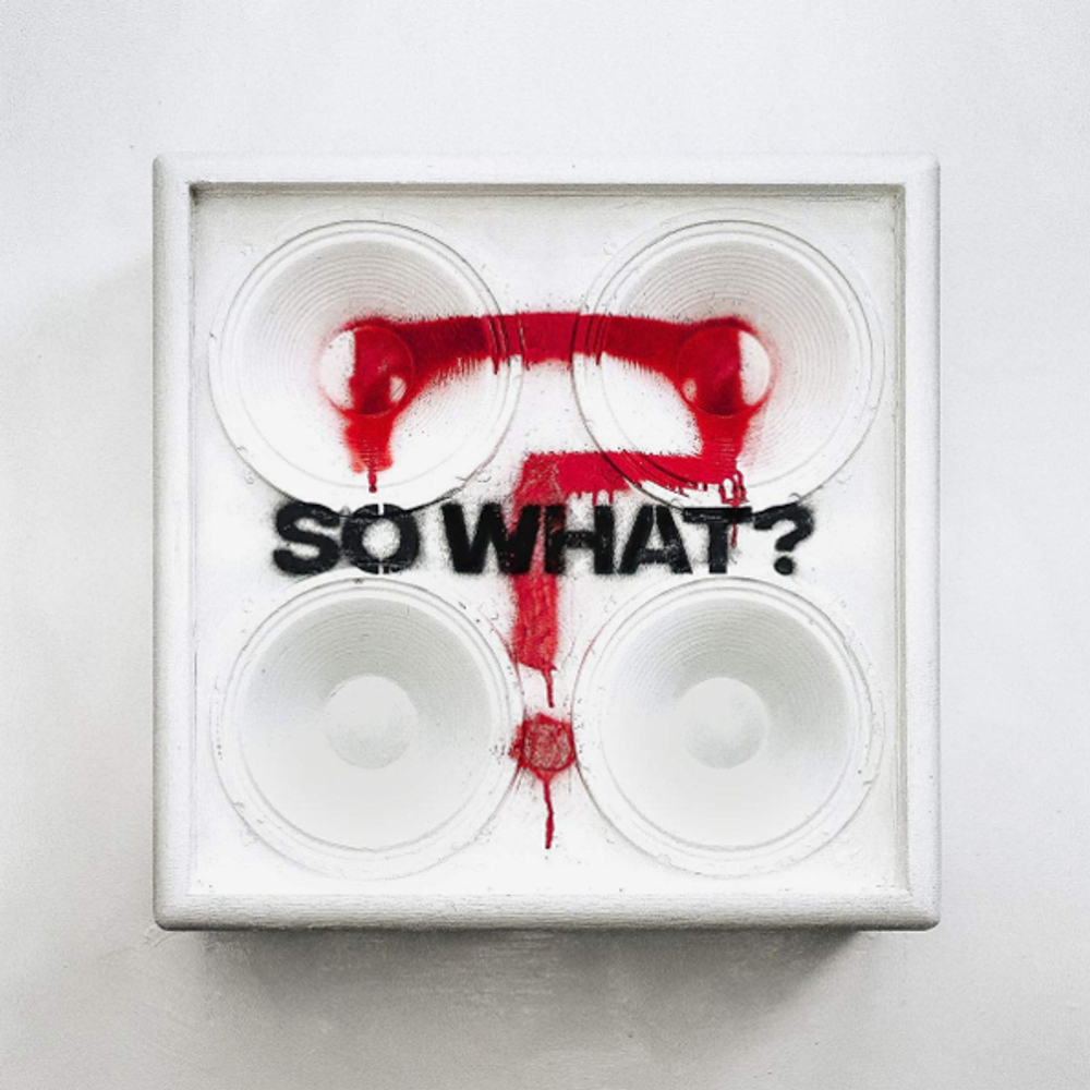 While She Sleeps / So What? (Limited Edition)(CD)