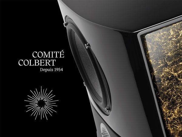 Focal в Colbert Committee