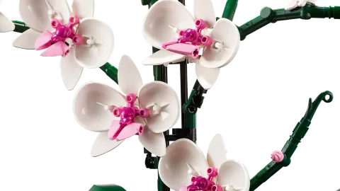 Конструктор LEGO Botanical Collection 10311 Орхидея