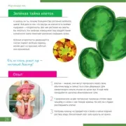 Микроскоп Levenhuk Discovery Pico Terra с книгой