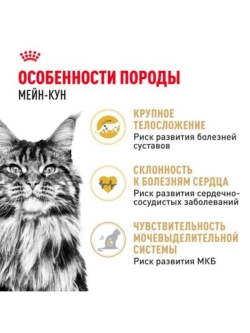 Maine Coon Корм для кошек 2кг