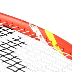 Теннисная ракетка Tecnifibre T-Fight 300S IG + струны