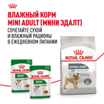 Royal Canin Mini Dental Care Мини Дентал кэа Корм сухой для собак мелких пород против образования зубного камня 3кг