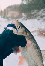 Fishanta 40 мм - приманка Brown Perch (14 шт)
