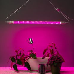 Фитолампа для растений светодиодная ЭРА FITO-9W-Rb-Т8+FITO-Holder IP65 2хG13 с выключателем 1.5м | Фитолампы T8