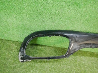 DSCN7736.jpg