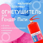 Огнетушитель цветной с Краской Холи Гендер Пати Розовый 2 л.