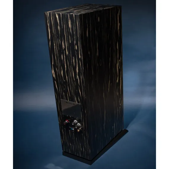 Davis Acoustics MV One Master Ebony