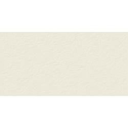 ARTE IVORY 60х120 5мм MATT