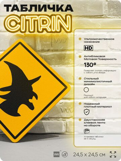 Табличка "Осторожно, ведьма" шуточная прикольная табличка на дверь и стену, для офиса и дома, декоративный знак, 24,5х24,5 см, пластиковая, Айдентика Технолоджи