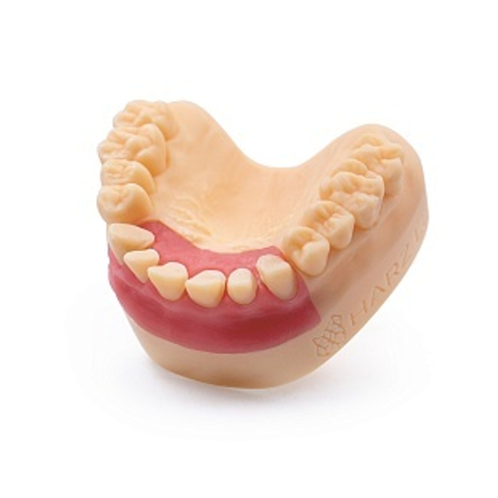Dental Soft Pink