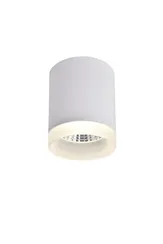 Точечный светильник 100 OML-100709-01 Omnilux