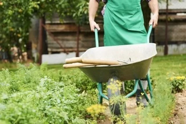 Дачнику на заметку: как и с помощью чего упростить работу на даче