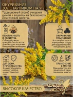 Золотарник (Золотая розга) для свечей