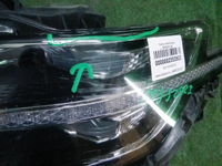 DSCN1511.JPG