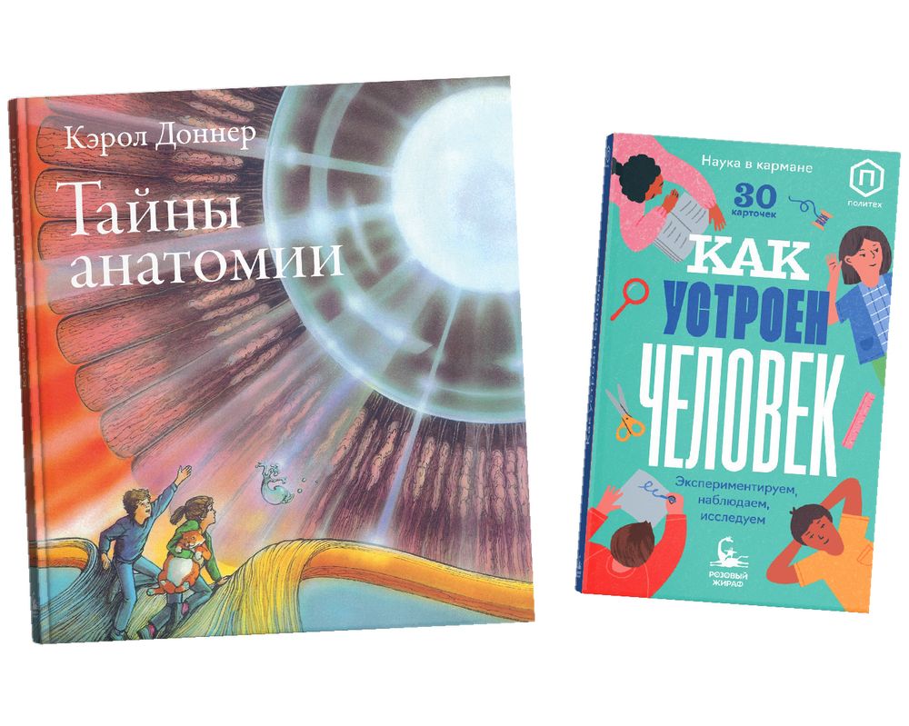 Как устроен человек? Как устроен человек?