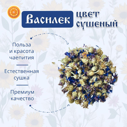 Василек цвет.