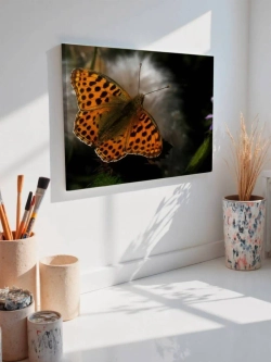 Картина на стену 40 X 50 Бабочка
