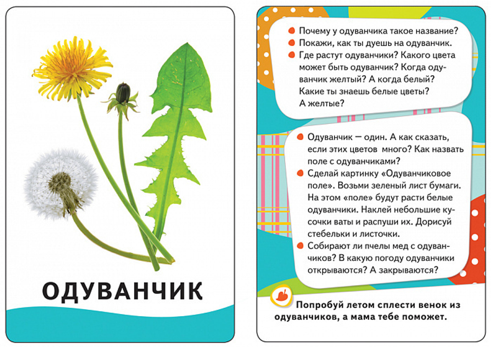 Живой мир (Разв. карточки 0+)/Росмэн/КН. 4680010499979