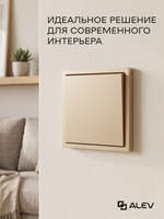 Выключатель одноклавишный внутренний Оптима с рамкой золотой