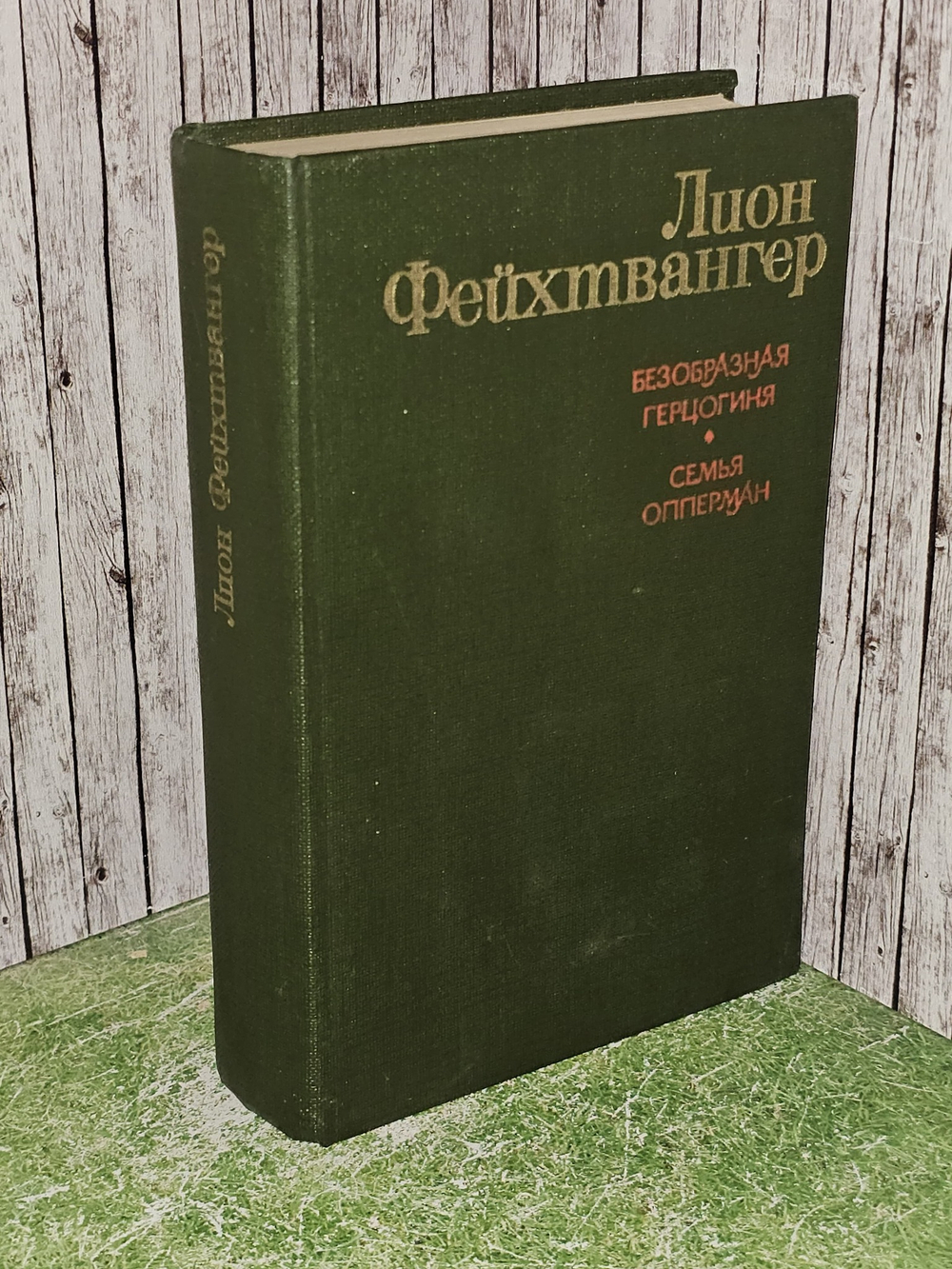 Безобразная герцогиня. Семья Опперман. Фейхтвангер Лион
