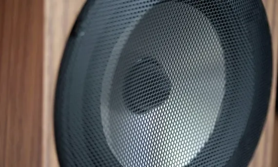 Amphion Argon1 Walnut
