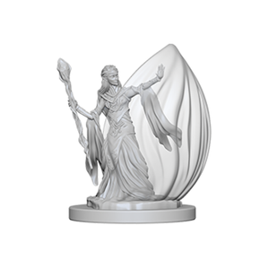 Elf Female Wizard / Эльфийки-волшебницы