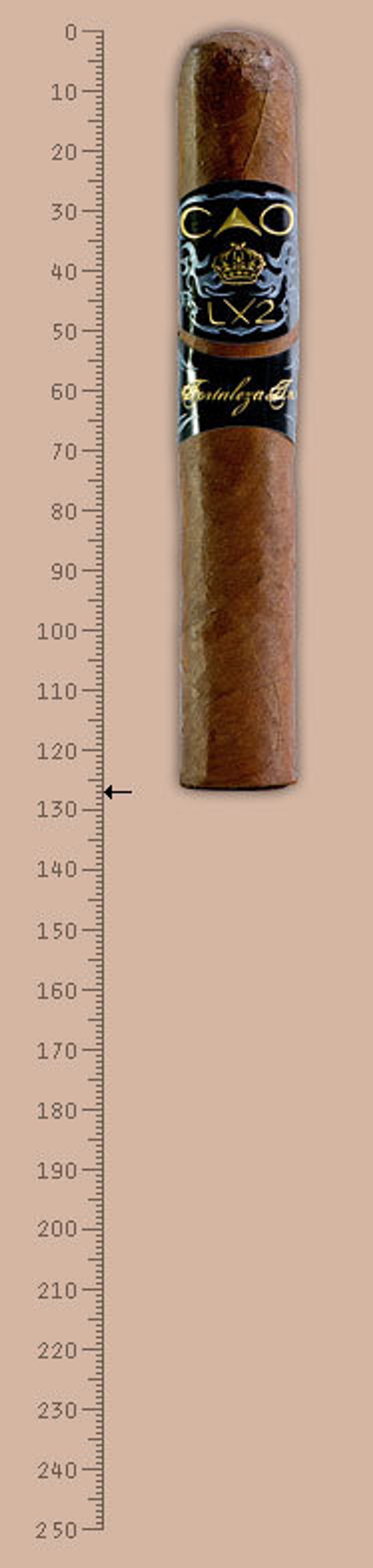 CAO LX-2 Robusto