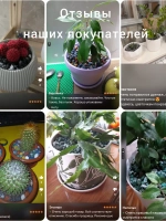 дренаж для цветов и растений микс зеленый