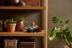 Конструктор LEGO Botanical Collection 10309 Суккуленты