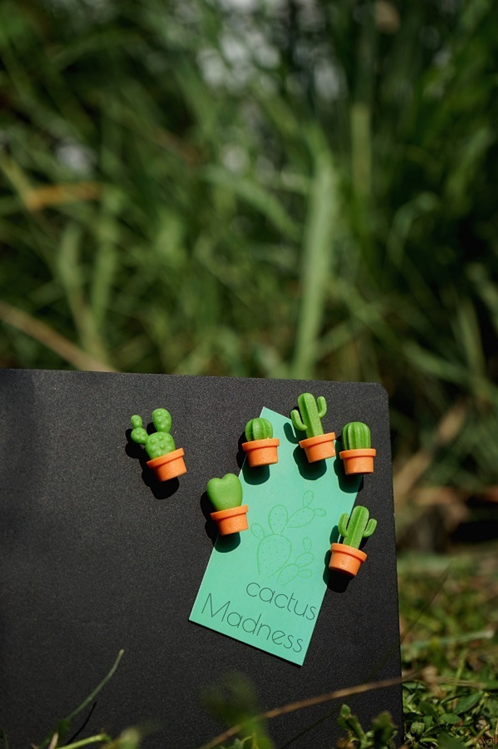 Магниты Cactus, 6 шт. Qualy