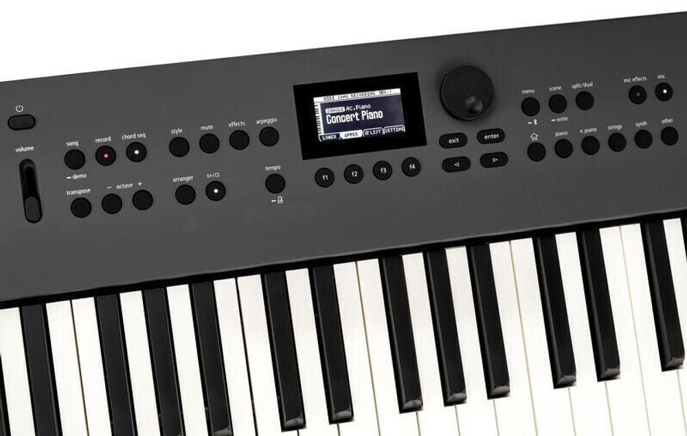 Roland GO:KEYS 5 Keyboard - Graphite