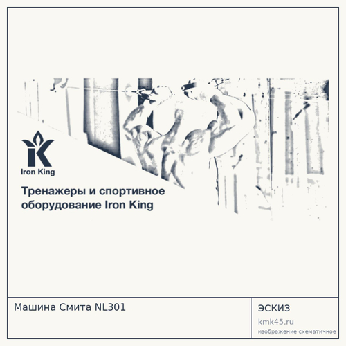 Машина Смита NL301