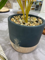 УЦЕНКА Бамбук в цементном горшке, Д125 Ш125 В650