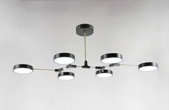 Люстра потолочная светодиодная NewRgy 18046STD/6 BK+AB, 48 Вт, бронзовая и чёрная