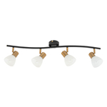 Потолочный светильник Arte Lamp FALENA A3117PL-4BK