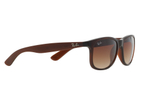 Ray-Ban Andy RB4202 607313
